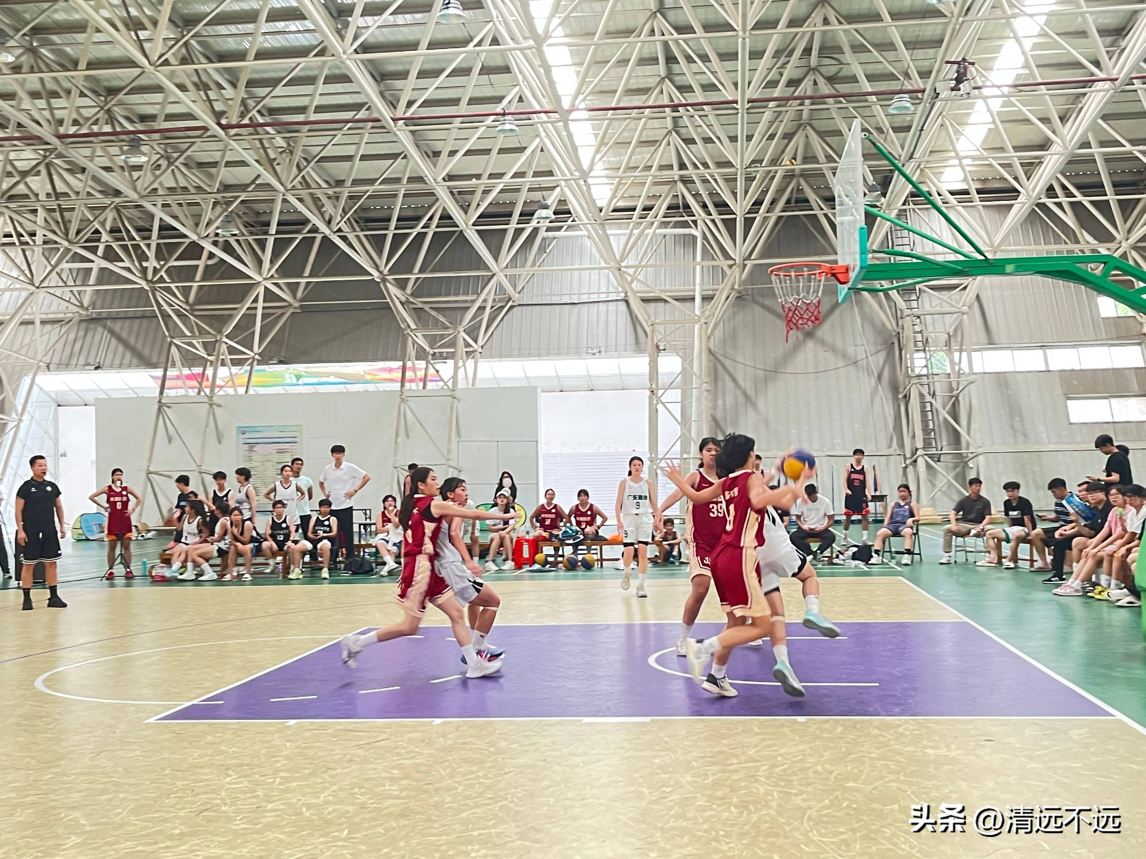 锦标赛篮球赛事获得广泛关注 锦标赛篮球赛事获得广泛关注