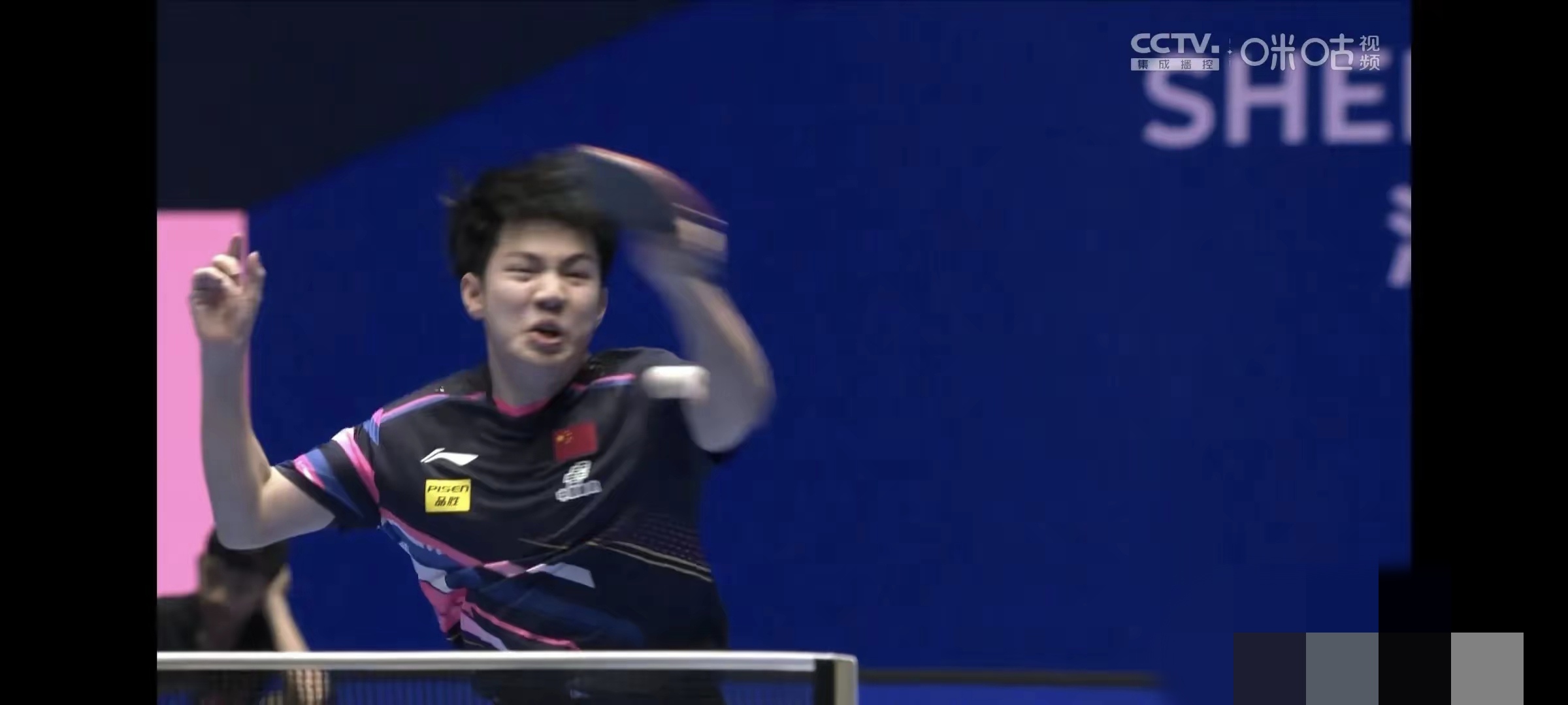 波兰乒乓球队力克比利时乒乓球队，张本智和绝境逆转的简单介绍