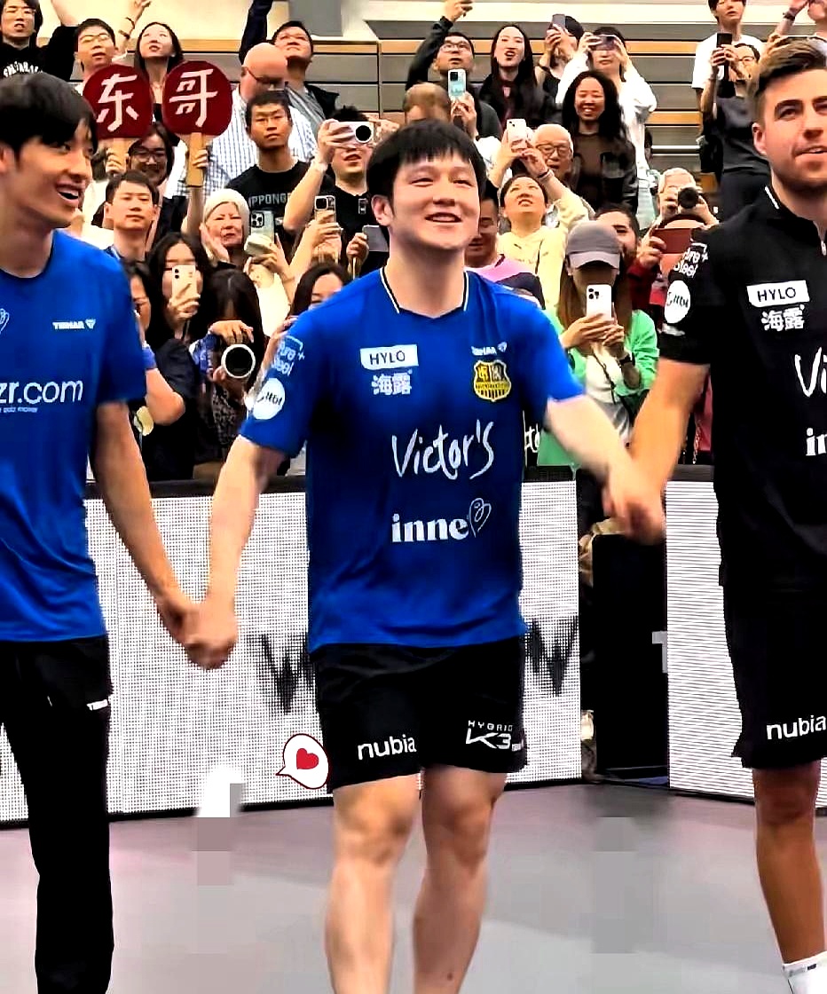 瑞典队碾压葡萄牙队，樊振东关键制胜