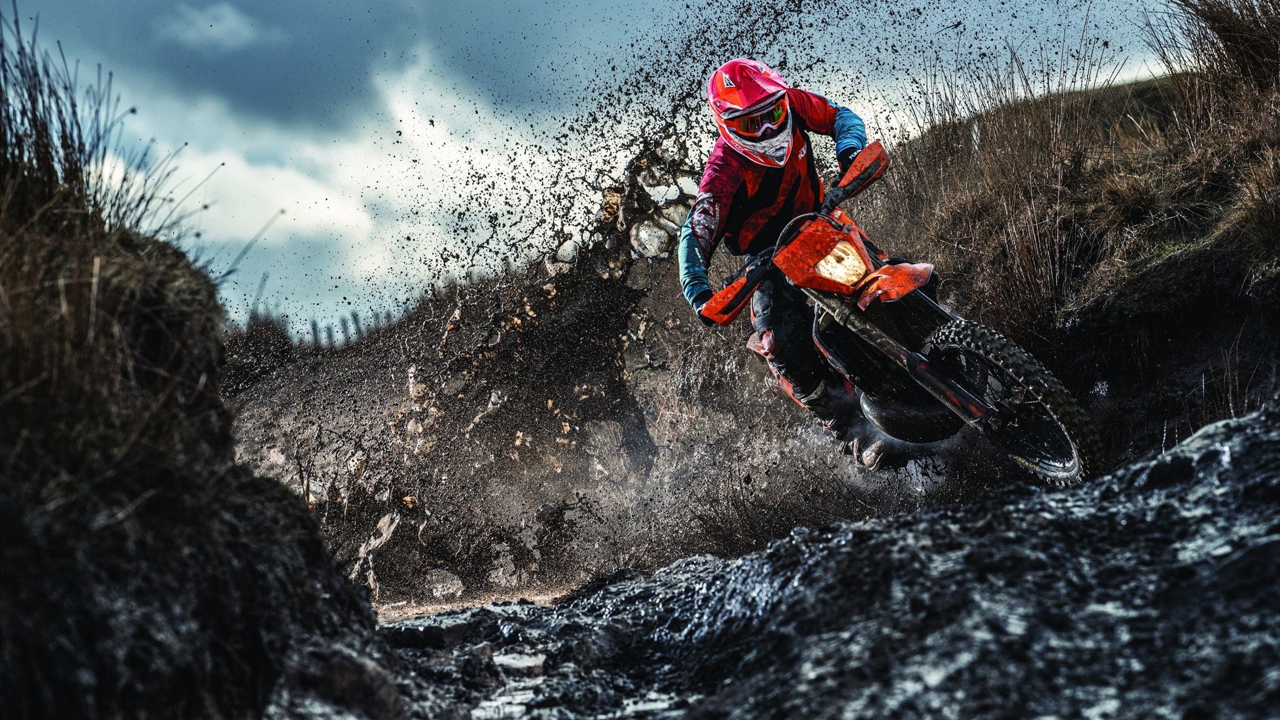 德甲争冠战之夜，霍勒迪末节接管比赛，一己之力改写冠军归属