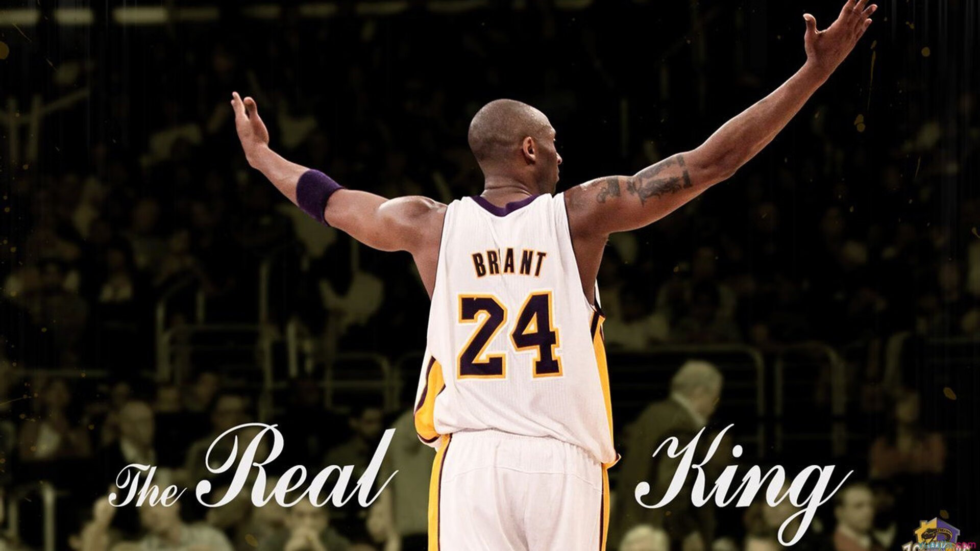 库尔图瓦的叹息之墙，墨西哥对阵洪都拉斯的生涯之夜